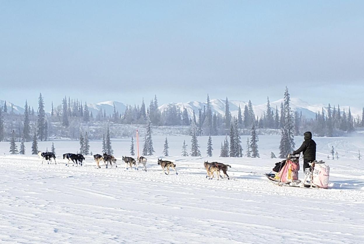 Gwin'S Lodge & Roadhouse Cooper Landing Экстерьер фото